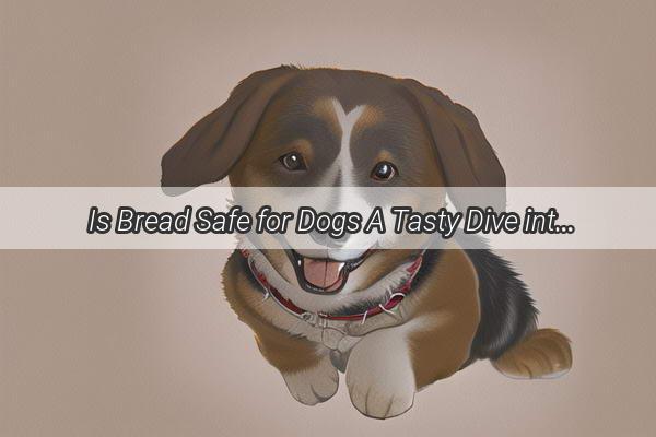 Is Bread Safe for Dogs A Tasty Dive into the World of Canine Snacks